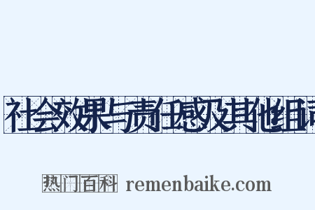 社会效果与责任感及其他组词是什么意思的图片